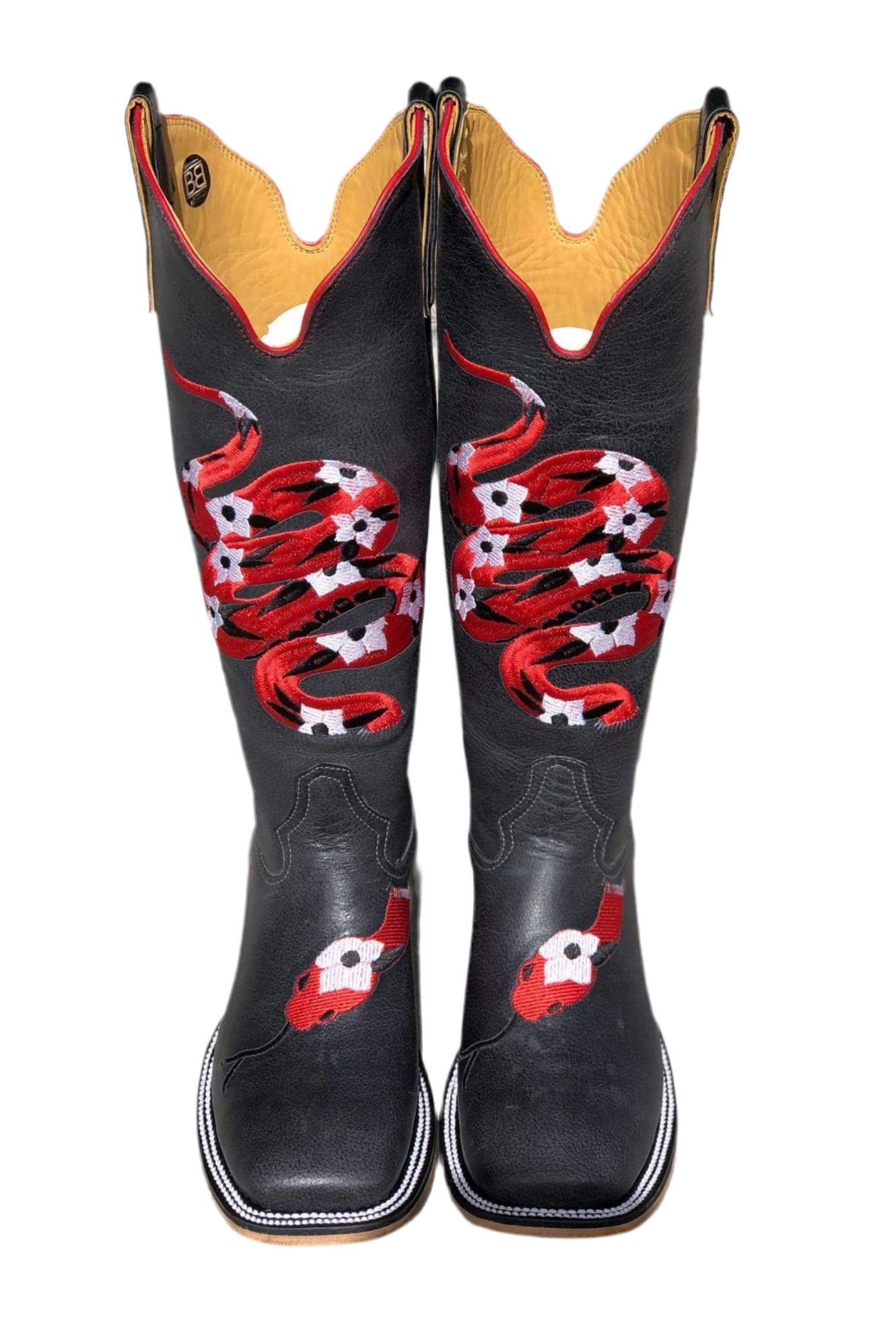 midnight ๐๐ผ Rattle