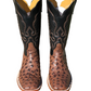 Brown ( cc ) ostrich Boltsboots signature