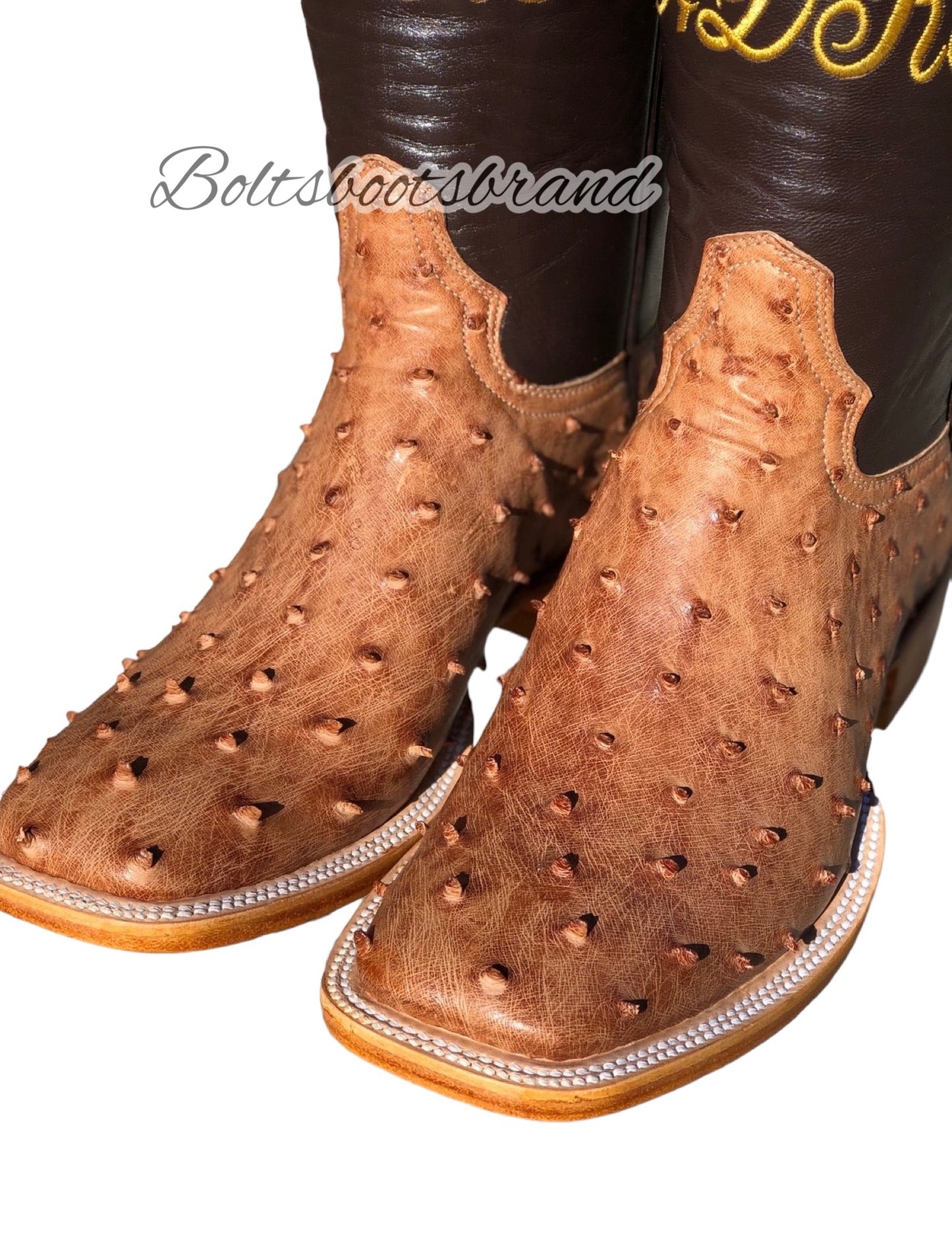 Honey (( cc )) ostrich Boltsboots signature