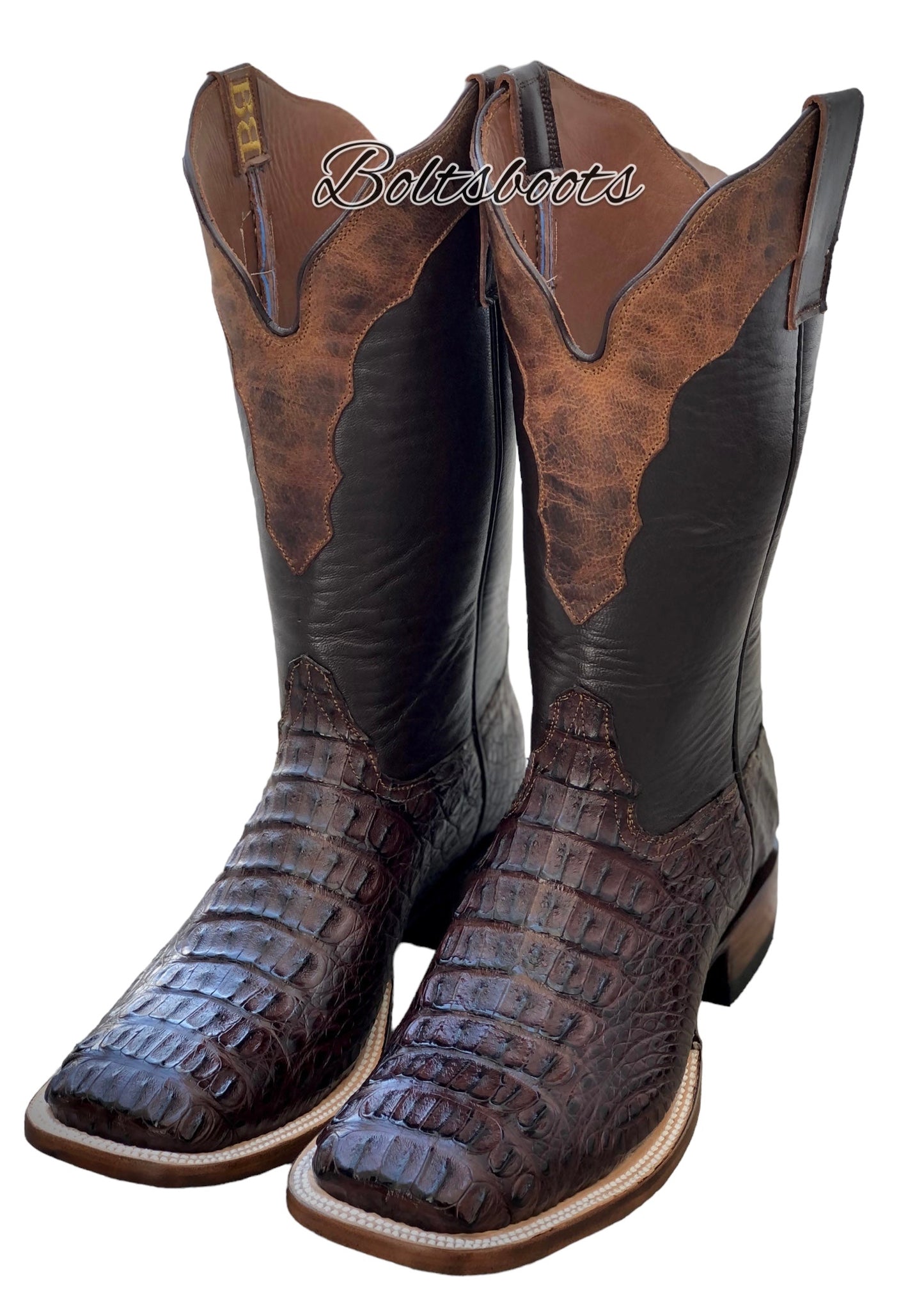 Montana Brown caimán by Boltsbootsbrand