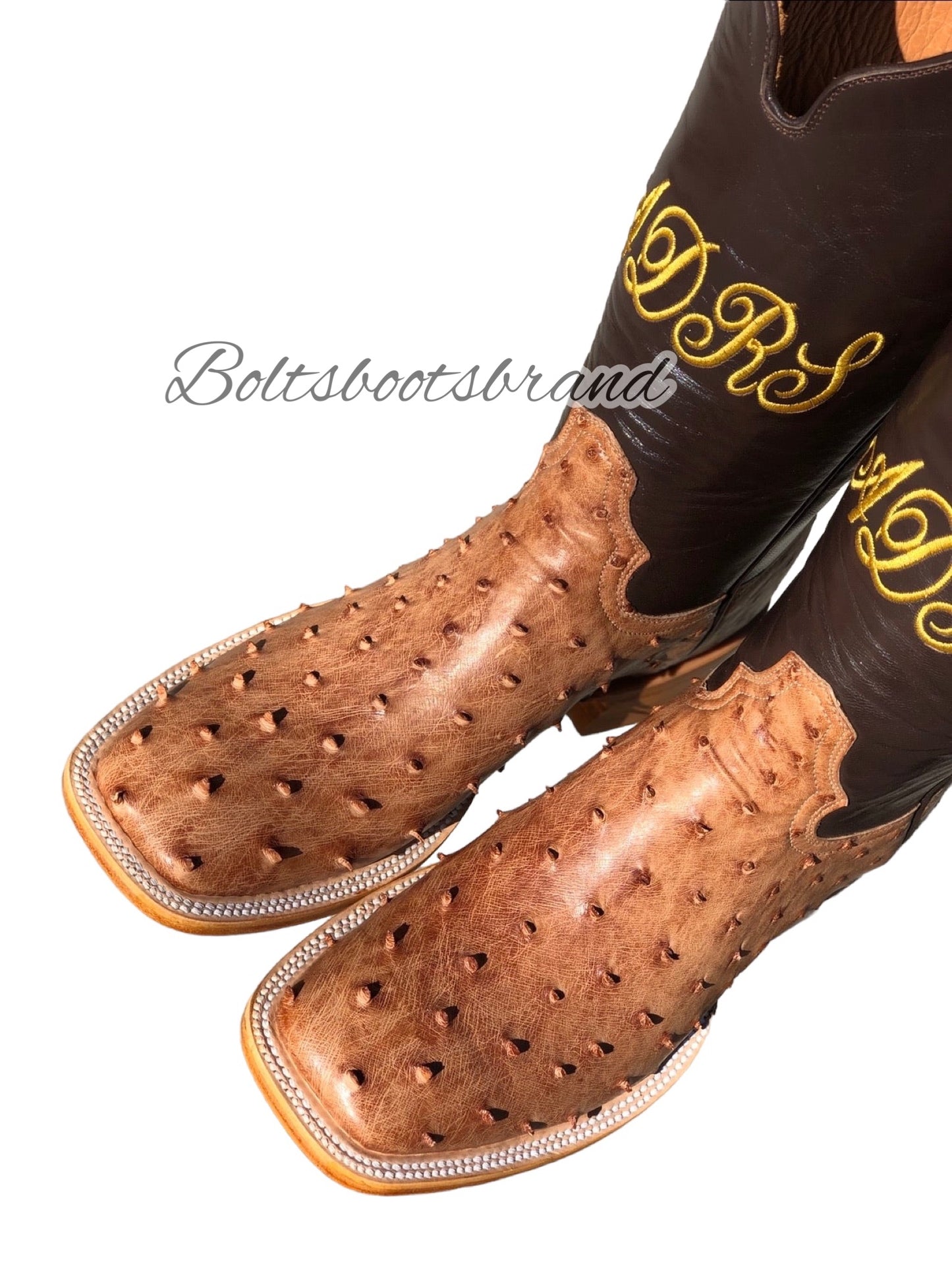 Honey (( cc )) ostrich Boltsboots signature